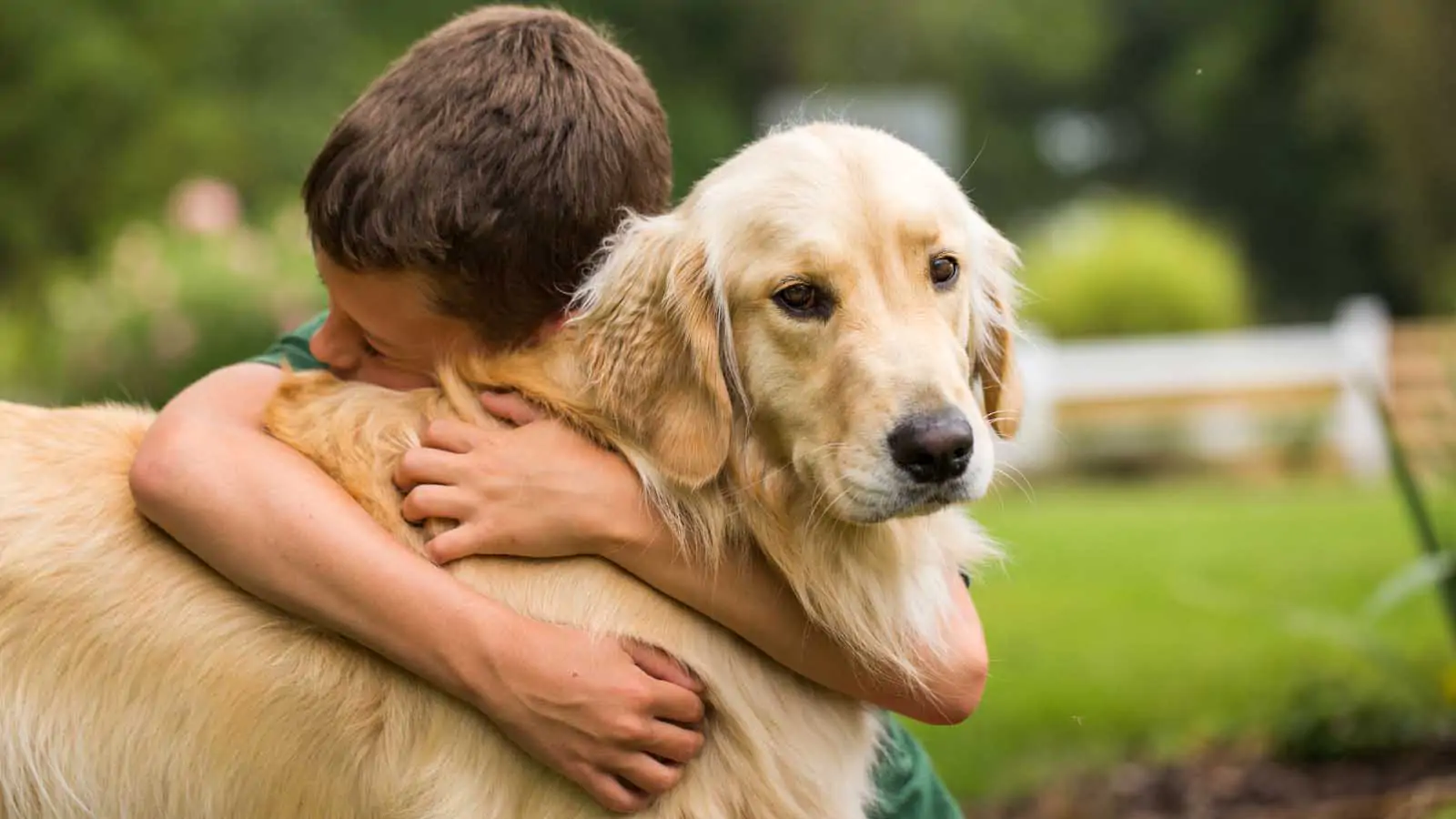 Animal Welfare